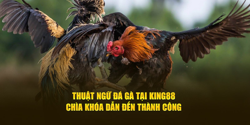 thuat-ngu-da-ga-tai-king88-chia-khoa-dan-den-thanh-cong